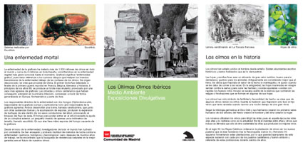 folleto_olmos.jpg